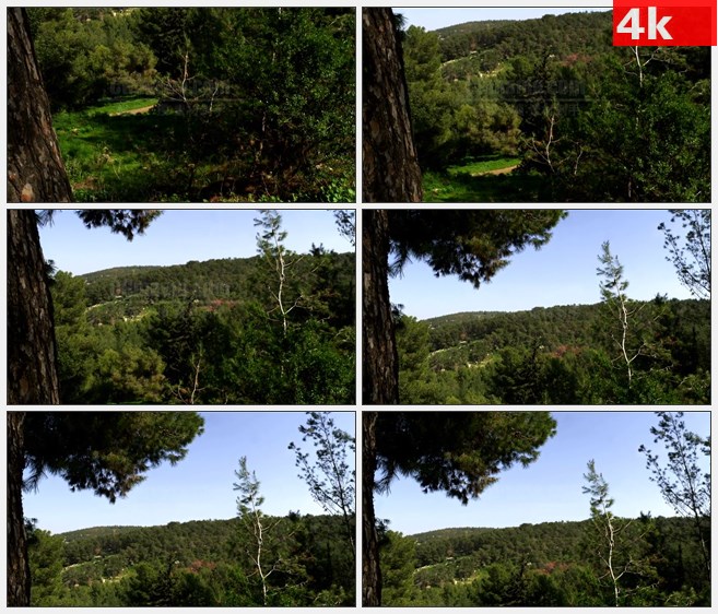 4K1345森林覆盖的丘陵自然美景高清实拍视频素材