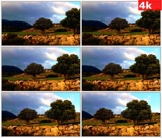 4K1393碎石高山草地树木自然美景高清实拍视频素材