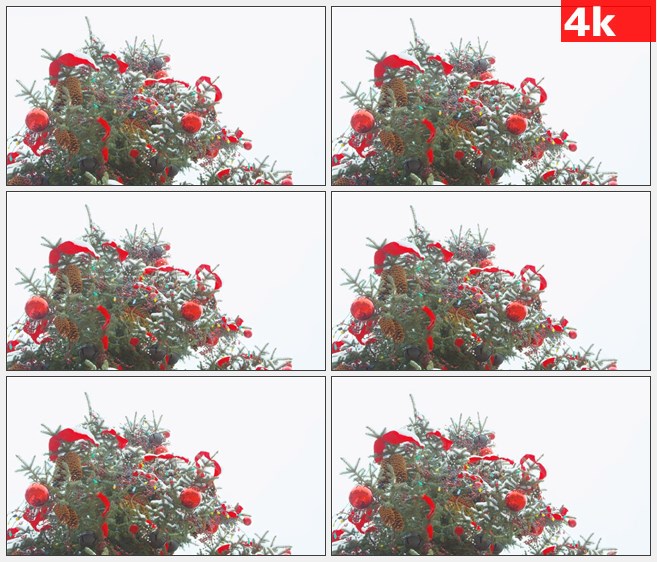4K1425望着装饰美丽的圣诞树仰拍高清实拍视频素材