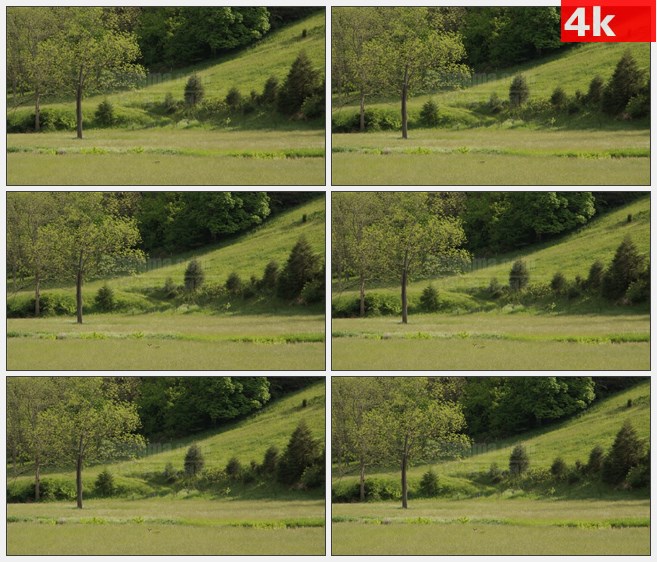 4K1440西弗吉尼亚州山坡农场草场高清实拍视频素材
