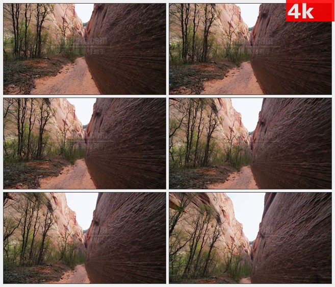 4K1443锡安峡谷谷底岩壁自然壮丽美景高清实拍视频素材