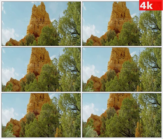 4K1465岩石树木自然风景高清实拍视频素材