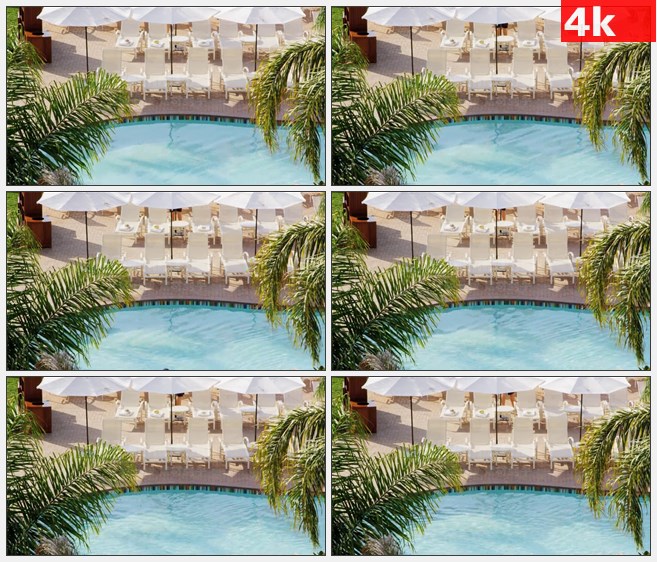 4K1522游泳池棕榈树高清实拍视频素材