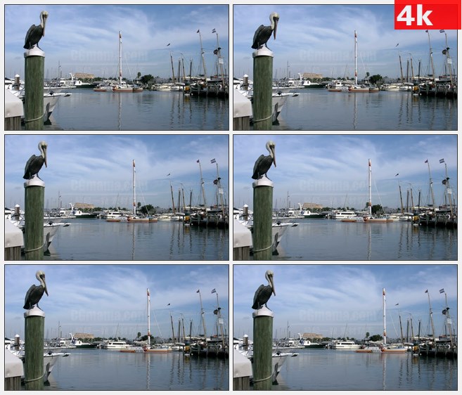 4K1536在码头的基韦斯特鹈鹕游轮高清实拍视频素材