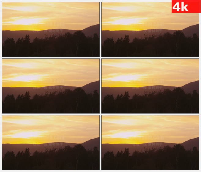 4K1540在新斯科舍山上树梢和黄色的天空自然美景高清实拍视频素材