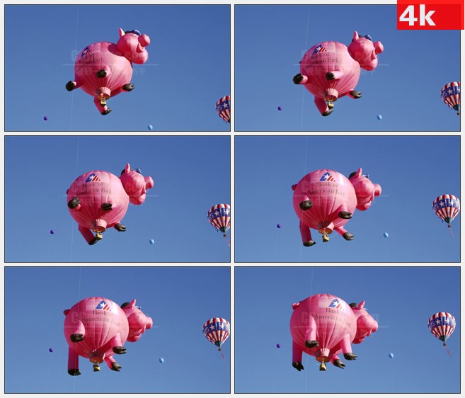 4K1548猪形热气球空中飞高清实拍视频素材