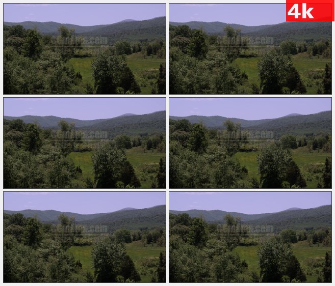 4K1551自然风景高山绿树树林高清实拍视频素材