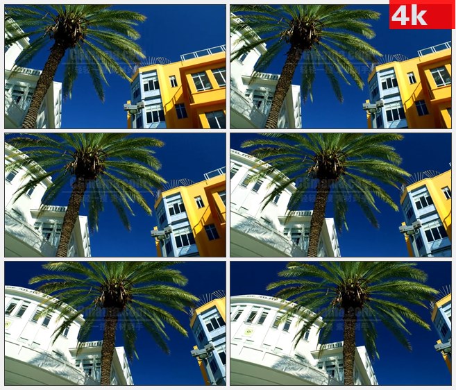 4K1556棕榈树黄色高楼蓝色天空高清实拍视频素材