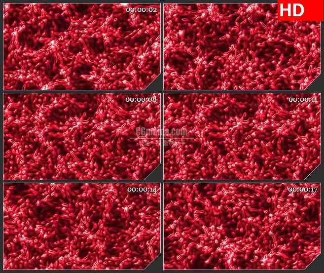 BG0974-红色细胞运动活跃LED背景高清视频素材