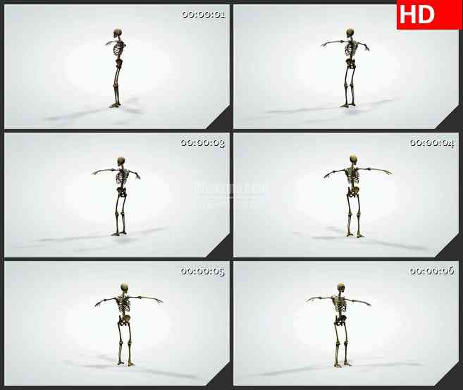 BG1020-三维动画解剖模型人体骨架旋转生物医疗高清视频素材