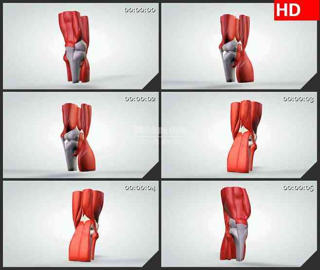 BG1024-三维动画模型的旋转膝关节生物医疗高清视频素材
