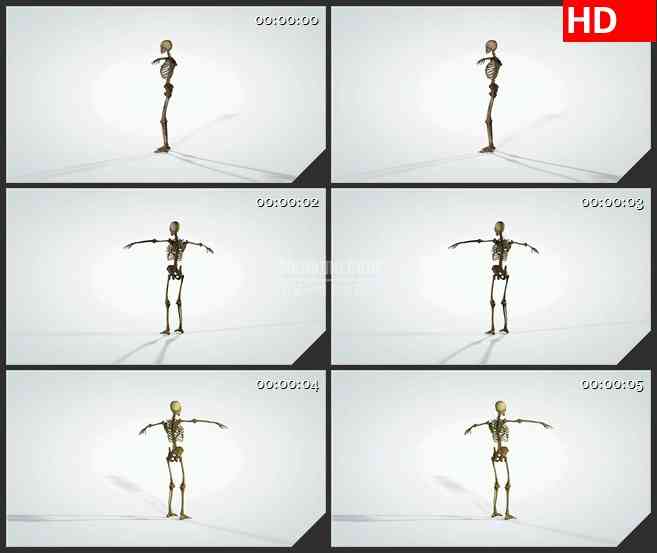 BG1031-三维解剖模型的旋转人体骷髅骨骼生物医疗高清视频素材
