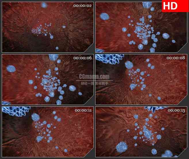 BG1112-病毒通过血液三维动画高清视频素材