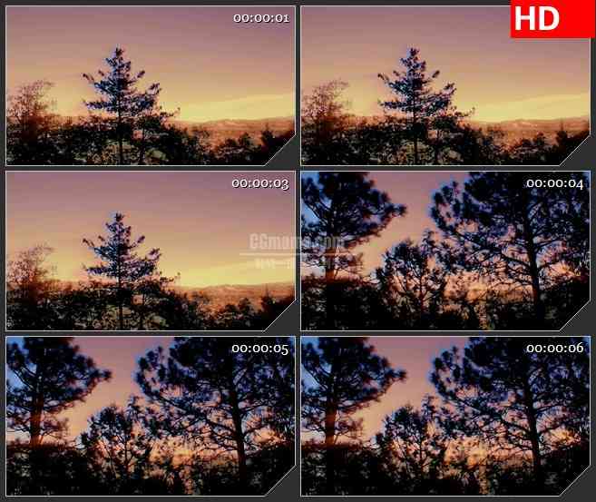 BG1420独自旅行的路上沿路的分镜大树夕阳高清实拍视频素材