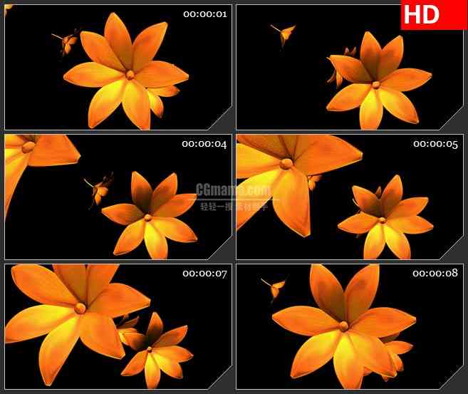 BG1668黄色花圆环旋转三维动画特写动态LED高清视频背景素材