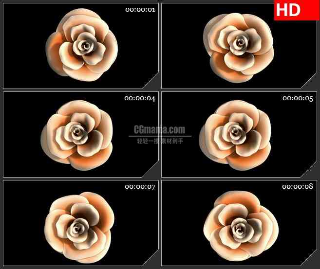 BG1918旋转的粉色玫瑰花朵高清透明合成特效视频素材