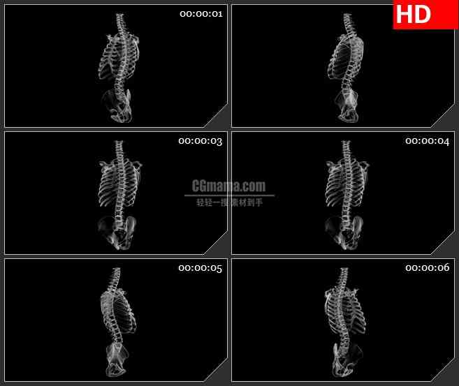 BG1921旋转的骨架骨骼高清led大屏视频合成特效背景素材