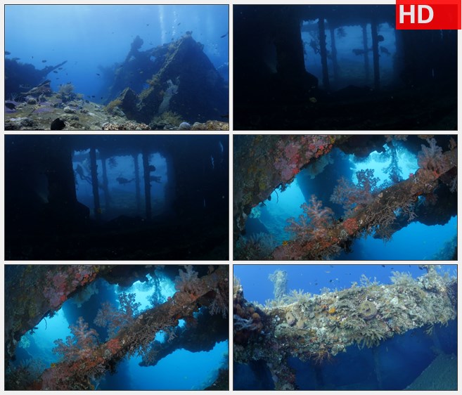ZY1308海底沉船潜水员生锈铁船高清实拍视频素材