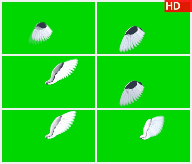 ZY1363绿屏抠像扇动的翅膀高清特效视频素材