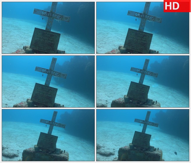 ZY1597海底世界的一块坟墓高清实拍视频素材