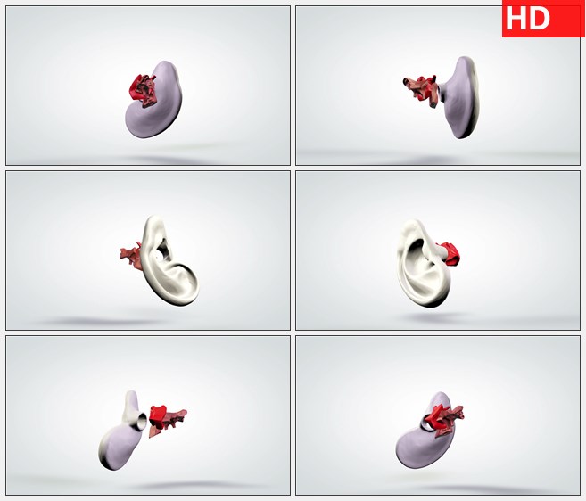 ZY1698三维动画模型的人耳听觉系统旋转高清实拍视频素材