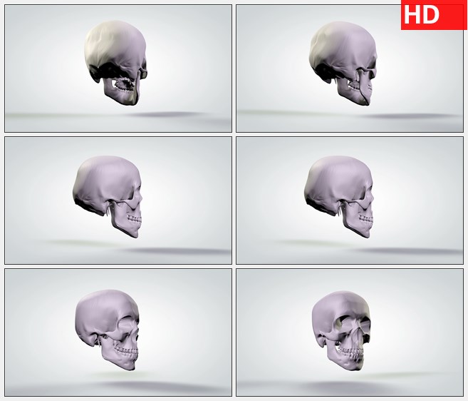 ZY1713三维解剖模型缓慢旋转的人类头骨高清实拍视频素材