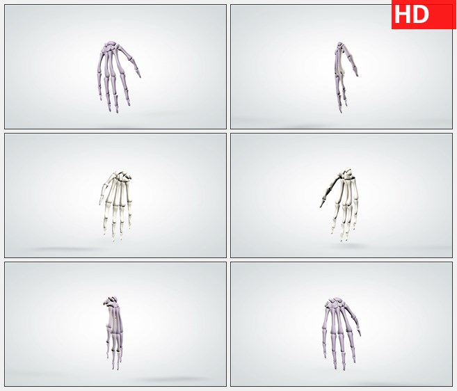 ZY1724三维旋转解剖模型人的手骨高清实拍视频素材