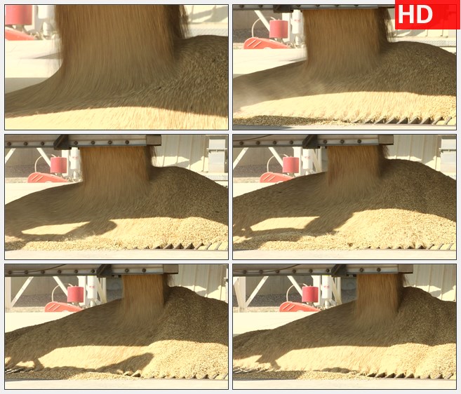 ZY1773小麦和粮食流入贮存容器高清实拍视频素材
