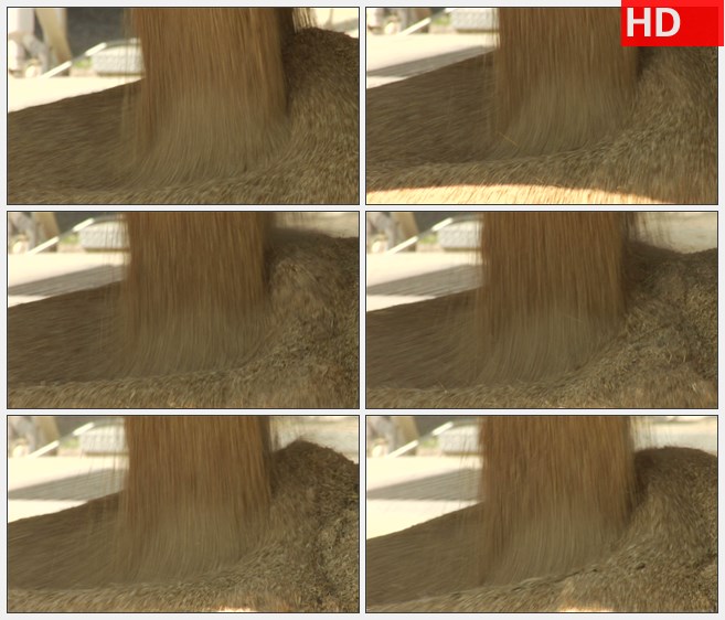 ZY1775小麦麦粒粮食流入贮存容器收获高清实拍视频素材