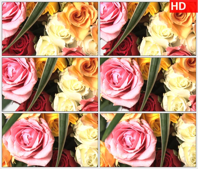 ZY1780旋转的红黄玫瑰花束绿叶高清实拍视频素材