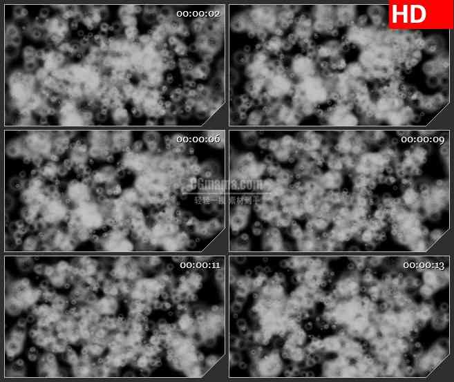 BG3865医学类 显微镜下的细胞led大屏背景高清视频素材