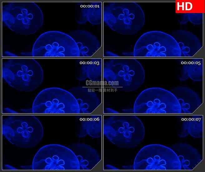 BG4212蓝色水母led大屏背景高清视频素材