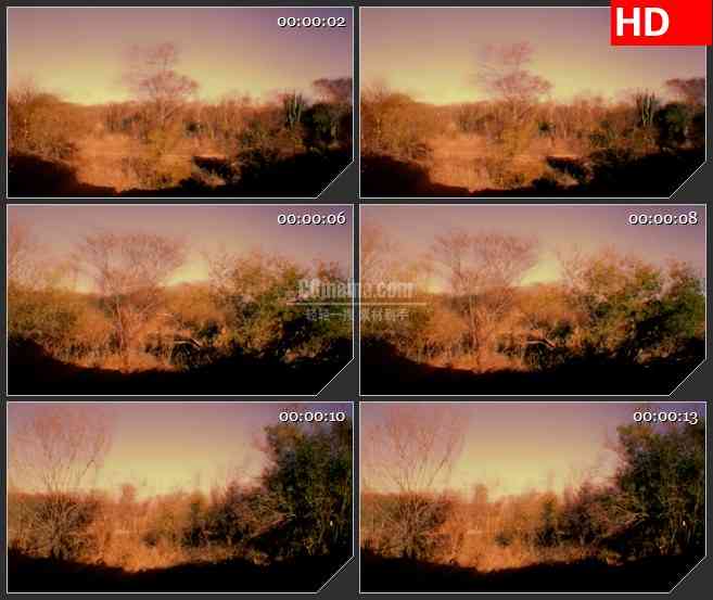 BG4322乡间沿途风景树影led大屏背景高清视频素材